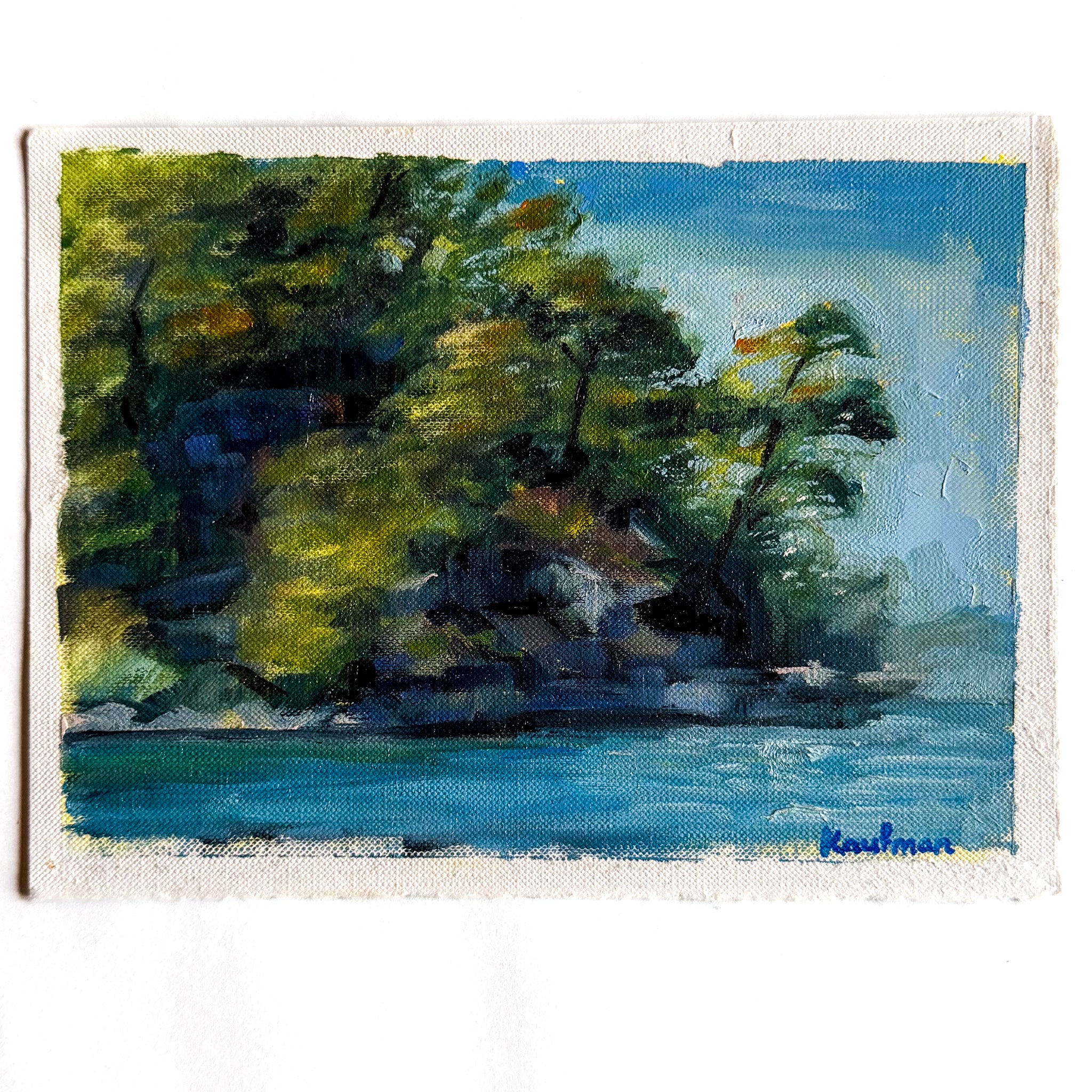 Landscape Study 5